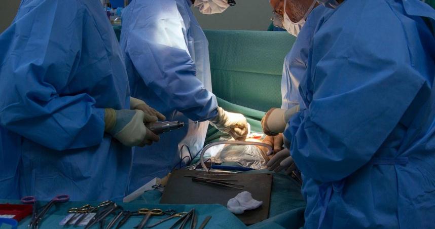 Shocking Job Ad in Malaysia: 'Organs Must Be Clean' Raises Organ Harvesting Concerns